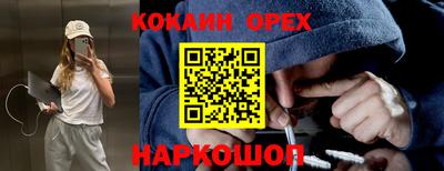 ГАЛЛЮЦИНОГЕННЫЕ ГРИБЫ Кандалакша