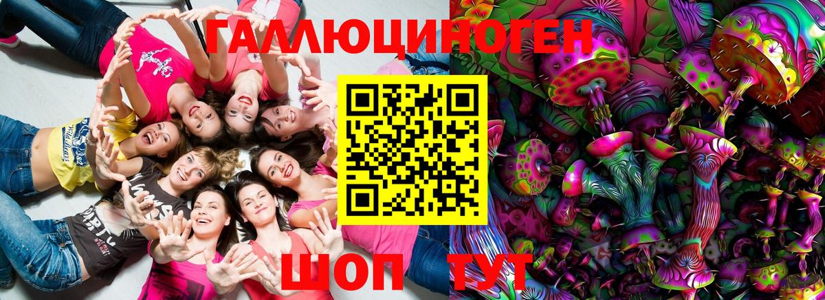 Псилоцибиновые грибы GOLDEN TEACHER  Вход с VPN  Псилоцибиновые грибы мицелий  Аксай 